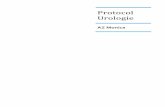 Protocol Urologie - AZ Monica · m 5 1 Niercelcarcinoom 1.1 Inleiding Het aantal niercerlcarcinomen neemt toe met een predominantie van man/vrouw en een piekincidentie in de 6de en