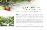 El Café Nicaragua - forumdelcafe.comca, básicamente, en el uso de una tecnología atrasada, además de por la falta de asistencia técnica en cuanto a los análisis de los suelos,