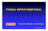 FOSSA INFRATEMPORALFOSSA INFRATEMPORALdepto.icb.ufmg.br/dmor/mof011/infratemporal.pdf · Prof. Peter Reher, Prof. Peter Reher, CD, MSc, PhDCD, MSc, PhD FOSSA INFRATEMPORALFOSSA INFRATEMPORAL