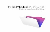 FileMaker Pro 12€¦ · Hoofdstuk 1 Inleiding tot FileMaker Pro FileMaker® Pro is de toonaangevende databasesoftware voor werkgroepen, waarmee snel oplossingen die op uw bedrijfsbehoeften