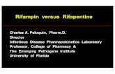 Rifampin versus Rifapentine - Virology Educationregist2.virology-education.com/2016/9TBPK/07_Peloquin.pdf · Rifampin versus Rifapentine Charles A. Peloquin, Pharm.D. Director Infectious