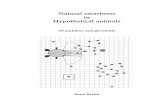 Natural smartness in Hypothetical animalsrjvbertin.free.fr/Scientific/PhDThesis/thesis.pdfNatural smartness in hypothetical animals : of paddlers and glowballs / Rene´ Jean Victor