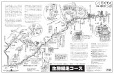 生駒縦走コースTitle 生駒縦走コース Subject 「てくてくまっぷ」は、近鉄沿線の駅を起点、終点とするハイキングマップです。大阪府エリアのてくてくまっぷをご紹介しています。