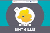Sint-GilliSbisa.brussels/bestanden/publicaties/bru19/St-Gillis.pdf · 3 Zoom op de gemeenten 2016 SINT-GILLIS 1. SINT-GILLIS EN HAAR INWONERS In enKeLe W ooRden 4 2. BEVOLKING 10
