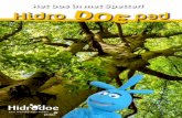Het bos in met Spetter! Hidro DOE pad · 2020-05-06 · Hidro DOE pad. T. BOSBINGO Dit ben ik allemaal tegengekomen in het bos: molshoop vogelnest sporen van dieren padden-stoel eekhoorn