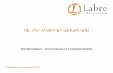 DE WET WERK EN ZEKERHEID - labre.nl · kleine werkgevers; • voor kleine werknemers, die vanwege een slechte financiële situatie hun onderneming reorganiseren geldt dat voor het