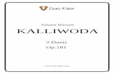 Johann Wenzel KALLIWODA - Duo Klierduo-klier.com/wp-content/uploads/2013/12/Kalliwoda... · Nl LO! Kal\iwc 1891-. Three' two v Chicacro b 2 Three Duets. 9:10!1-24 Published, MCMIV,
