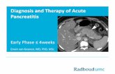 Diagnosis and Therapy of Acute Pancreatitis · IAP/APA evidence-based guidelines for the management of acute pancreatitis: Pancreatology 13 (2013) e1-15. Classification of acute pancreatitis—2012: