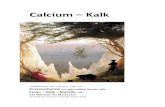 Calcium Kalk - antroposofischevereniging.nl · deel circa 39‰. De Rode Zee heeft met 41 tot 42‰ het hoogste zoutgehalte voor open zeeën. In enkele gesloten zeeën wijkt het zoutgehalte