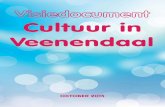Visiedocument Cultuur in Veenendaal · partners ook elkaars concurrenten in de strijd om de aandacht van het publiek en ... crowdfunding, crowdsourcing, facebook en andere social