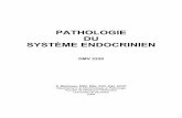 PATHOLOGIE DU SYSTÈME ENDOCRINIEN · Pathologie du Système endocrinien D. Martineau – 2004 OBJECTIFS DMV 2220 Au terme de ce cours, l’étudiante aura acquis les connaissances