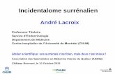 André Lacroix - ASMIQasmiq.org/wp-content/uploads/2015/10/8h50-Dr_Lacroix.pdf · primary aldosteronism is renin-independent El Ghorayeb N, Oligny-Longpré G, Bourdeau I, Lacroix