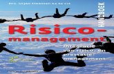 Risico- HANDOEK · 7.1 Plaats van beheersing binnen risicomanagement 143 7.2 Inrichting beheersingsprocessen: infrastructuur 144 7.3 Integraal beheersingskader 149 7.3.1 (Internal)