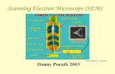 Scanning Electron Microscope (SEM)chem.ch.huji.ac.il/~porath/NST2/Lecture 2/Lecture 2 - Scanning... · Scanning Electron Microscope (SEM) (From IOWA U. web site) Danny Porath 2003.