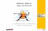 Wilde Bijen Op School - Aculea in het LO_druk.pdf · 2016-04-17 · Zorg voor een doos waar al deze items in passen. Indien je de ‘toneelversie’ van het klasgesprek wilt uitvoeren