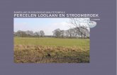 RUIMTELIJKE EN ECOLOGISCHE … Loolaan...3.1. LOOLAAN De Stichting Huis Bergh bezit aan de Loolaan ruim 37 hectare grond, ver-deeld over zes kadastrale percelen. Hiervan is globaal