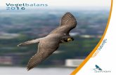 Vogelbalans 2016 - Stadsnatuur Maastrstadsnatuurmaastricht.nl/onewebmedia/Vogelbalans...burgers, Vogelwerkgroep De IJsselstreek en de stadsvogeladviseurs zijn daarbij belangrijk.’