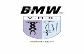 BMWerke Maart - Vlaamse Biomedische Kring · Levenswijsheden der scriptores 37 Woord van de maand 39 Egoïstisch altruïsme 40 Sponsors 45 1 . Woordje van de Praeses Beste biomedici
