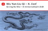 Wu Yun Liu Qi –X. časť · Qi Jing Ba Mai Ose, štruktúra v časopriestore veľký človek kôň ústa Mi uoriady, zázračý, zvlášty, čudý Dráhy, kaály ievy, tepy, žily,