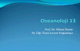 Prof. Dr. Nilsun Demir Dr. Öğr. Üyesi Levent Doğankaya · tr.pinterestcom . C02 phytoplankton POM çökelme çökelti DO phage zoo IánktOn coz Microbial döngu heterotrophic