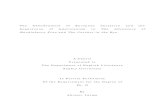 · I Content Book1 Introduction・・・・・・・・・・・・・・・・・・・・・ 1 ⅠThe aim of this thesis ...