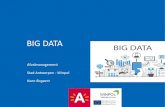 BIG DATA - Interreg Europe · PDF file • Big data –definitie • Context van big data in stad Antwerpen ... privacy & security Smart city sensoren Data van buiten de groep Data