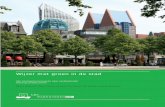 Postbus 29703 2502 LS Den Haag E publicatie.lei@wur.nl T ... · Friesland (DGMR 2010-2014) blijkt dat het thema ‘groen op en rond het bedrijventerrein’, als onder-deel van duurzaam