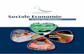 Sociale Economie - Streekoverleg Zuid-Oost-Vlaanderen · Lokale diensteneconomie - LDE Sociale InschakelingsEconomie - SINE Sociale werkplaatsen WEP: werkervaringsplaatsen en leerwerkbedrijven