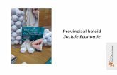 Provinciaal beleid Sociale Economie - Alfresco · -Lokale diensteneconomie : langdurig werklozen ; na maximum vijf (of uitzonderlijk zes) jaar tewerkstelling in de lokale diensteneconomie