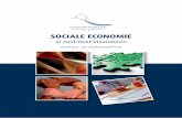 SOCIALE ECONOMIE - Streekoverleg Zuid-Oost-Vlaanderen · het kader van de lokale diensteneconomie (LDE) ook een regierol krijgen toebedeeld. Met het LDE-programma beoogt de overheid