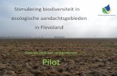 Stimulering biodiversiteit in ecologische ... · in Flevoland. Door de inzet van vanggewassen. • Basisvoorwaarden: •Effectiviteit •Inpasbaarheid •Financiële haalbaarheid