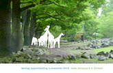 Verslag expertmeeting 4 november 2016 Oude dierenpark in Emmen · Deze visie past mooi in de ontwikkeling die het terrein al die eeuwen heeft doorgemaakt, naar een plek ... sociaal