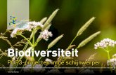 Biodiversiteit POP3-projecten in de schijnwerper€¦ · Meer dan ooit staat het behoud van biodiversiteit op de politieke agenda en houdt de gemoederen bezig. Met de negatieve uitspraak