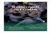 Weidevogels in Fryslân · 2019-10-30 · FIGUUR 2: TRENDLIJN VAN 1996 TOT EN MET 2018 De indexgrafieken van Fryslân van de vier hoofdsoorten van 1996 tot en met 2018, waarbij is