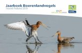 Noord-Holland 2019...Zo zijn momenteel de landelijke trends voor vogels berekend tot en met 2017. Voor het biotoop agrarisch gebied in Noord-Holland bestaan er ruim 100 plots. Daarvan