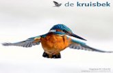 de kruisbek - vogelwacht-utrecht.nlvogelwacht-utrecht.nl/wp-content/uploads/2016/11/... · op de hoofdstad in te lopen, samen met de rest van het land. Cijfers van de bran-chevereniging