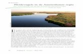 Weidevogels in de Amsterdamse regio€¦ · Het grootste deel van de graslanden in de Amsterdamse regio zijn in het kader van de PNI meerdere malen geteld, met uitzondering van enkele