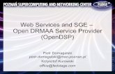 Web Services and SGE – Open DRMAA Service Provider (OpenDSP)arc.liv.ac.uk/SGE/workshop10-12.09.07/opendsp-sgeworkshop-2007.… · Web Services and SGE – Open DRMAA Service Provider