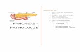 PANCREAS-PATHOLOGIEwikimedica.medica.be/wiki/images/8/86/10_SAMENVA… · Web viewPANCREAS-PATHOLOGIE HOOFDSTUK 10 Exocriene en endocriene functie Congenitale aandoeningen van het