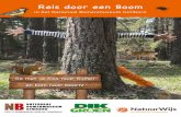 Reis door een Boom - Bomenmuseum€¦ · ogen tot rust, kunnen ze zich uitleven en hun belevingswereld vergroten. Buiten zijn in de natuur is goed voor de gezondheid en voor de ontwikkeling