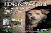 Nieuw liefdevol thuis voor honden uit BosniëIFAW’s Dierenwereld. pagina 4 International Fund for Animal Welfare pagina 5 honden kunnen gedijen. In plaats van alsmaar door te gaan
