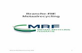 Branche-RIE MRF 2018 (concept 20180705) · productielijn gaat werken, andere machines aanschaft, andere werkzaamheden gaat verrichten, of als u gaat verhuizen. Erkenning of toetsing