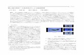 WISS2013 静止画内物体への変形指示による動画検索 - Makoto …makotookabe.com/publication/kawate_wiss2013.pdf · 2015-05-25 · 静止画内物体への変形指示による動画検索