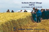 Gehele Plant Silage (GPS) - Louis Bolk · 2011-11-17 · Gehele Plant Silage (GPS) is geen vervanger van snijmaïs, maar kan geteeld worden in situaties waarin snijmaïs niet voldoet.