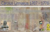 Carolus Linnaeus 1707 - 1778 · Het systeem van naamgeving werkte Linnaeus later uit, in 1751, in zijn hoofdwerk, de Philosophia botanica. In dit invloedrijke werk formuleerde hij