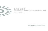 CAO GGZ - salaris-informatie.nl · versterken van de interne mobiliteit (doorstroom en flexibele inzetbaarheid binnen de instelling), en waar nodig, op de externe mobiliteit via werk-naar-werktrajecten.