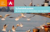 Scheldekaaien - Welkom | Antwerpen.be | …...De herwaardering van de Scheldekaaien, die de eigenheid van Antwerpen als stad aan de stroom waar maken, is de verantwoordelijkheid van