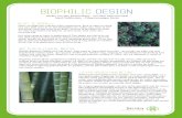 BIOPHILIC DESIGN - Spotlerfiles.m1.mailplus.nl/user40538/1182/Whitepaper Biophillic Design.pdf · Biophilia beschrijft de aangeboren relatie tussen mensen en (de rest van de) natuur.
