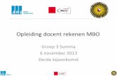 Opleiding)docentrekenen)MBO) - Universiteit Utrecht · 2013-11-06 · huiswerk) Uitmethode:)twee)onderdelen)uitdomein) verhoudingen)selecteren)waar)je)over)wil) praten.))) Bijvoorbeeld:)struikelopgave,)iets)watje)