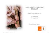 HYBRID RYE PIG FEEDING SEMINAR - KWS Saat · 2 Hybrid Rye pig feeding seminar | Thomas Blumtritt 17/07/2019 Population growth: Forecast demand for food up by 60% Climate change -
